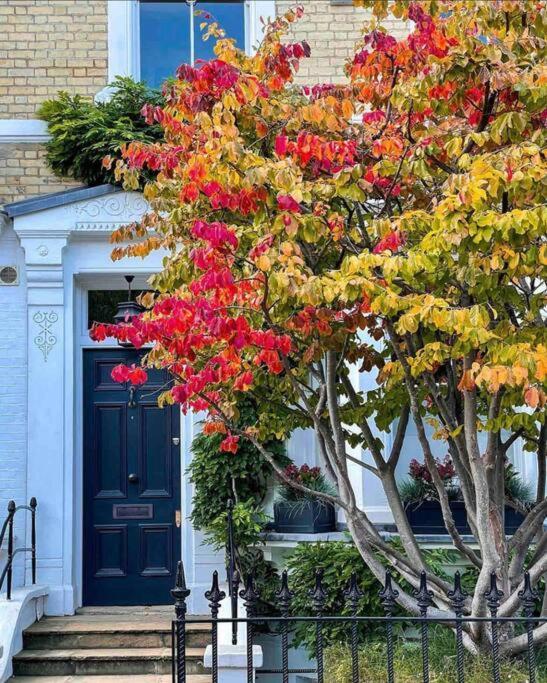 Chelsea Posh Apartment ลอนดอน ภายนอก รูปภาพ
